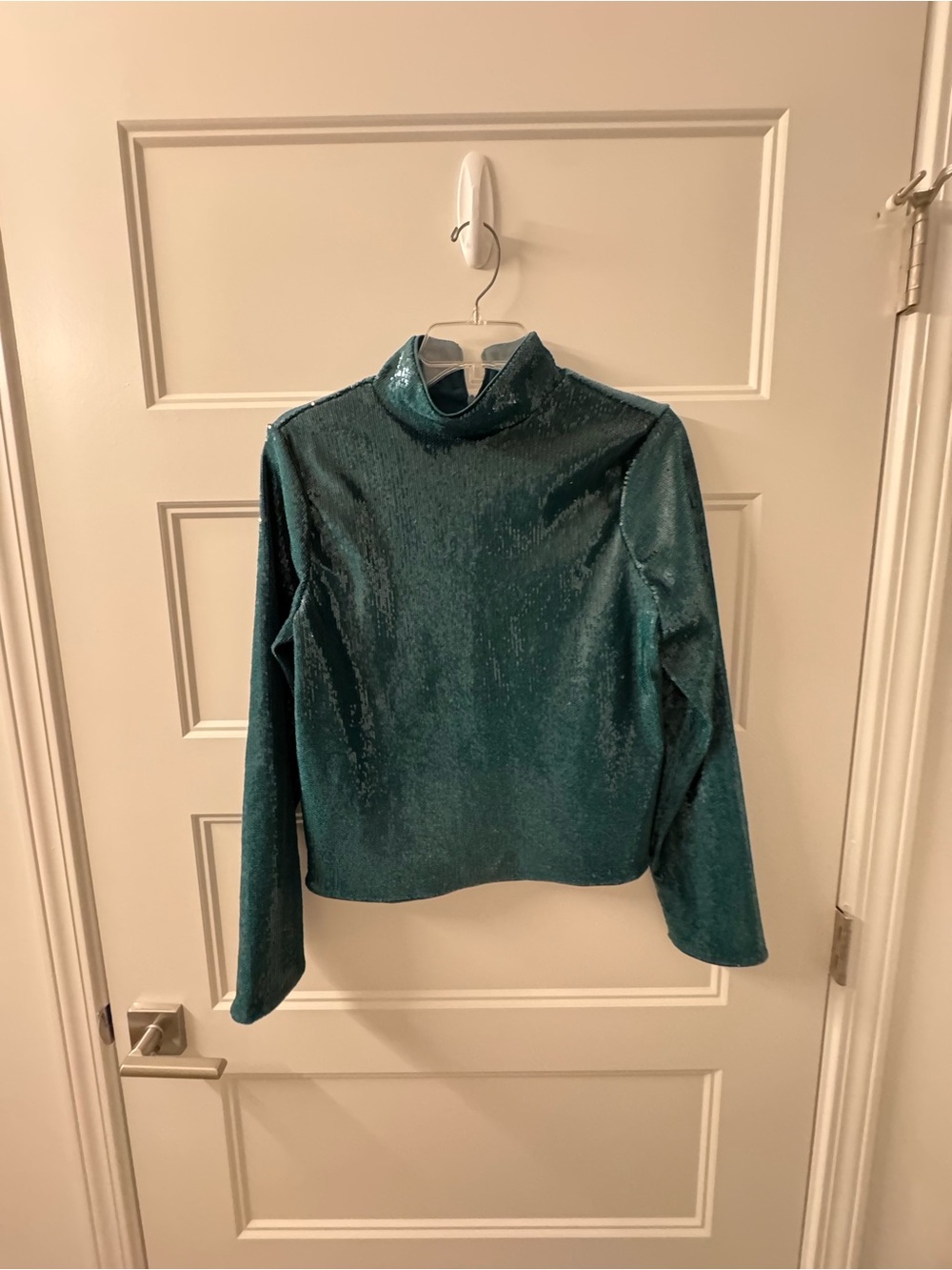 Express Shimmery Teal High-Neck Long-Sleeve Top